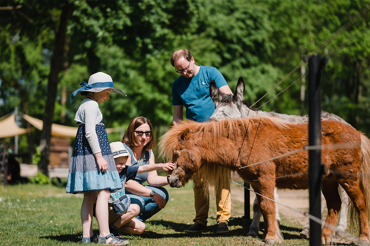 Auf dem Bild ist eine Familie zu sehen, die an einem sonnigen Tag gemeinsam zwei Tiere betrachtet. Im Vordergrund steht ein kleines braunes Pony mit langer Mähne. Ein Junge streckt die Hand aus und berührt das Tier am Kopf. Neben ihm hockt eine Frau. Ein Mädchen mit Sommerhut steht daneben. Im Hintergrund stehen ein Mann und neben dem Pony ein Esel. Die Szene spielt sich auf einer Wiese mit Bäumen ab. Im Hintergrund sind Sonnensegel zu erkennen.